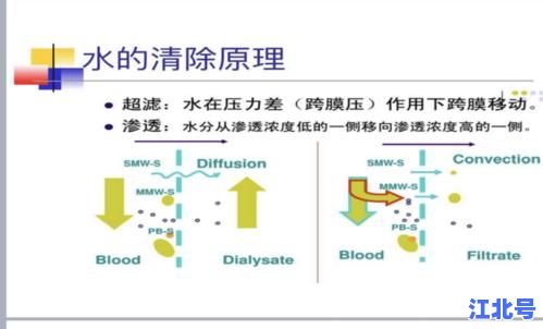 全国血液净化病例信息登记系统2024新规发布：联网上报流程与数据安全指南