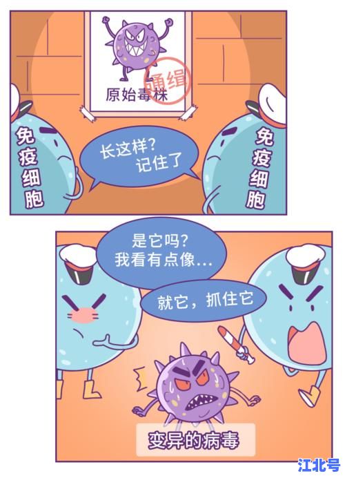 最新研究揭示“德尔塔”变异毒株传播力及疫苗防护效果深度解析