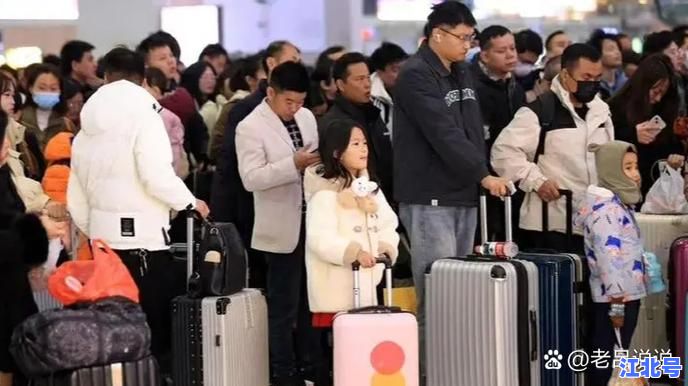 2024元旦过后不让回家是真的吗？官方最新政策解读与春运返乡攻略曝光