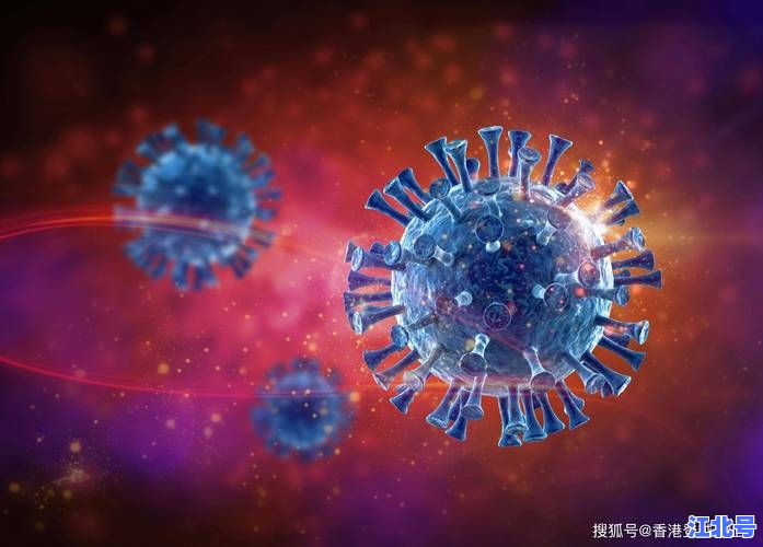 蒙古新冠疫情最新动态：2024年确诊趋势、疫苗接种进展与回国政策全解析