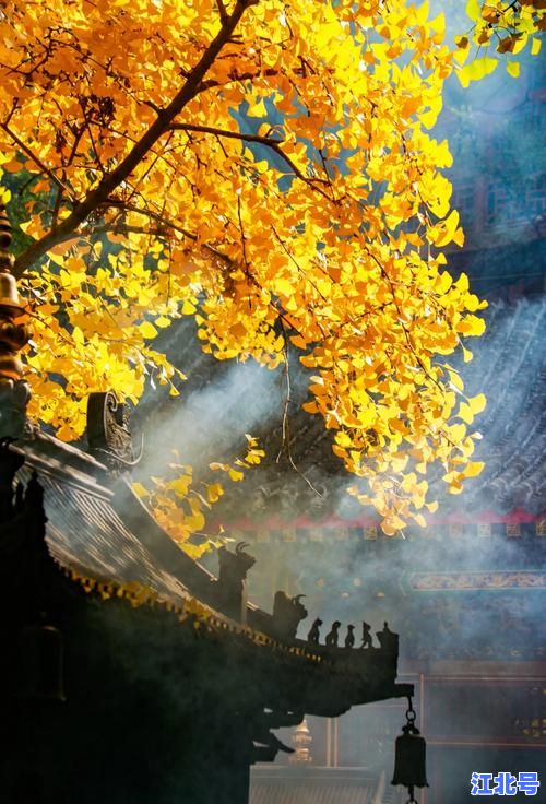 海城大悲寺2024年9月最新开放时间表发布！是否恢复参观一文看懂