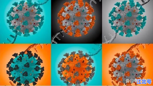 深度追踪：德尔塔毒株出自哪里？揭秘印度首次发现时间、变异源头与全球传播路径