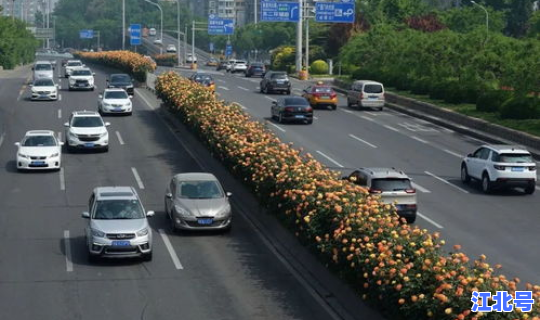 2020北京四月限行尾号是多少，今天汽车限行尾号是多少