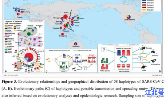 广州白云区有新型冠状病毒吗？冠状病毒来源