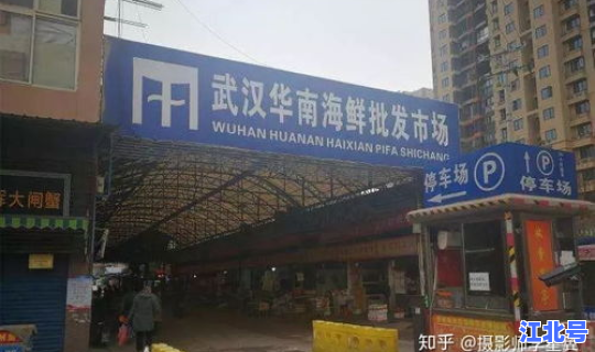 武汉新出现一例 武汉27例病毒