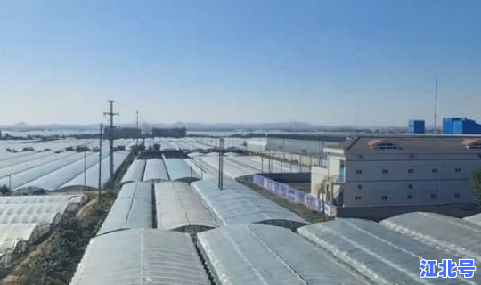 聊城最新一期疫情情况，各地疫情情况