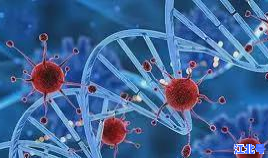 大连病毒毒株有哪些 中国有哪些病毒