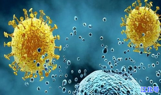 美国新冠疫情的最新(美国最近有什么病毒)
