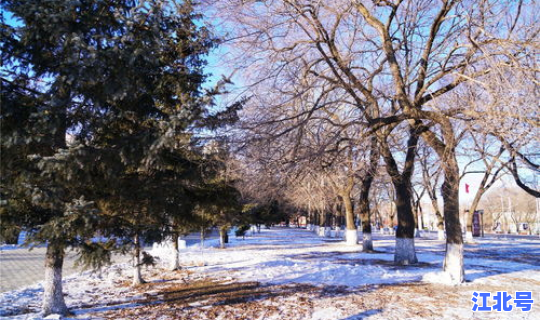 黑河现在能出来吗 黑河可以随便去俄罗斯吗