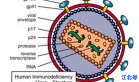 做核酸检测需要哪些注意事项呢？核酸检测hiv有没有意义