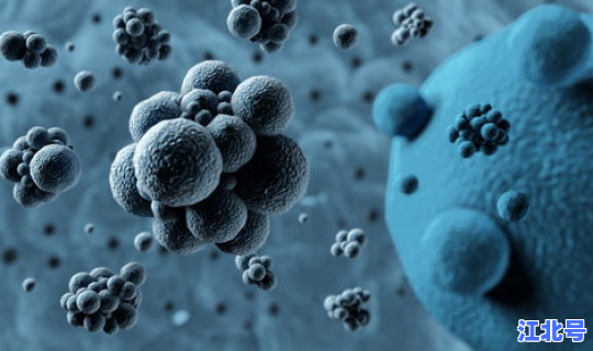 北京8人感染？北京最近流行什么病毒感染