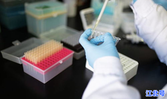 核酸检测结果阴性抗体阳性，hiv抗体阴性什么意思