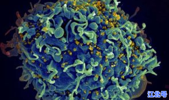 感染新冠多久没有传染性了呢(感染艾滋病毒多久会有症状)