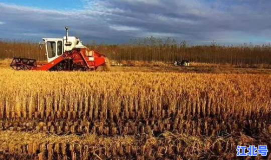 黑龙江讷河市属于哪个地区，讷河市属于哪个城市