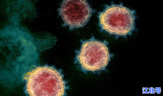 美国新冠疫昨天新增死亡(感染新冠会死吗)