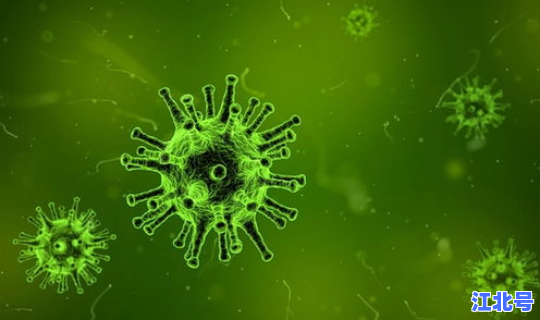 河南现在有病毒吗？河北病毒