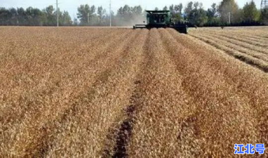 黑龙江黑河嫩江市疫情 嫩江市疫情最新公布