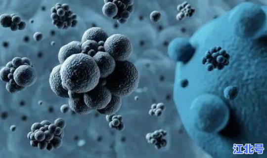 美国感染了新冠(美国最近传染病叫什么)