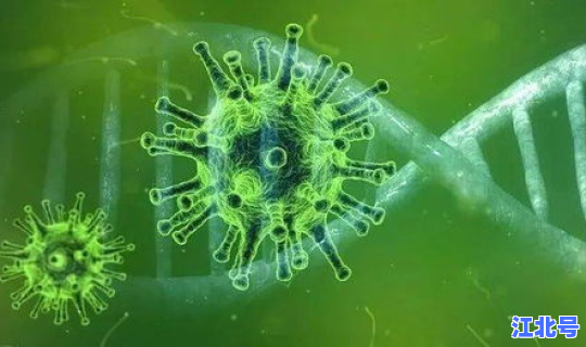 目前无感染国家新冠病毒？冠状病毒会传染人吗