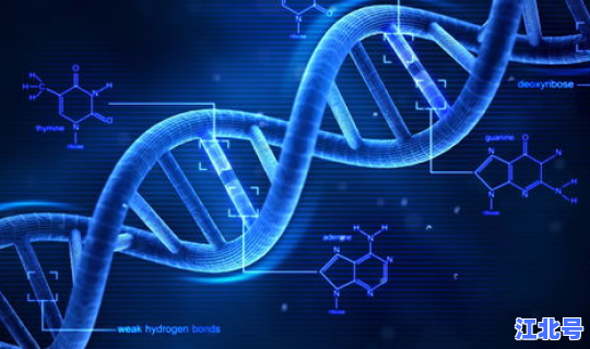 核酸检测几时开始？核酸检测为什么不能排除hiv