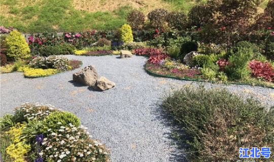 青岛城市绿化树种有哪些(青岛的市树是什么树)