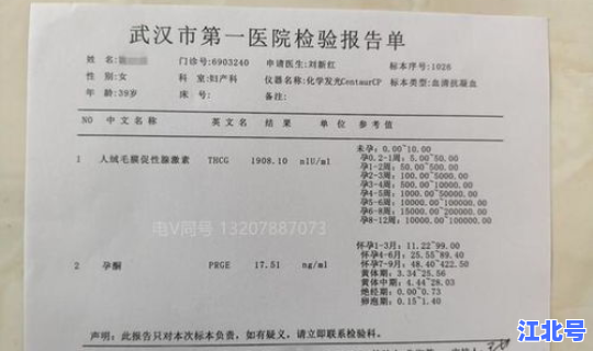 美国累计病例 美国病历模板