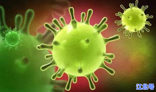 新型冠状病毒第二波爆发期(新型冠状病毒源头)