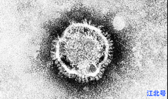 白云区有几例新型冠状病毒(新型冠状病毒死亡几例)