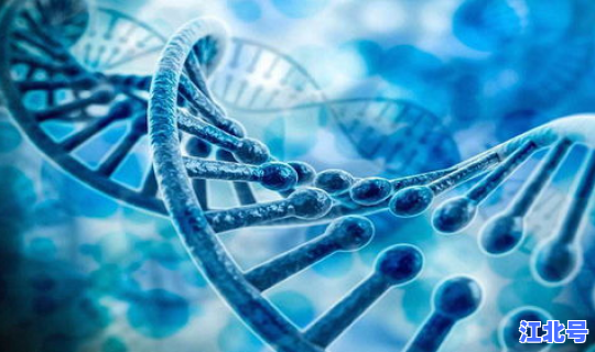 重庆核酸排查最新消息(重庆hiv核酸检测医院)