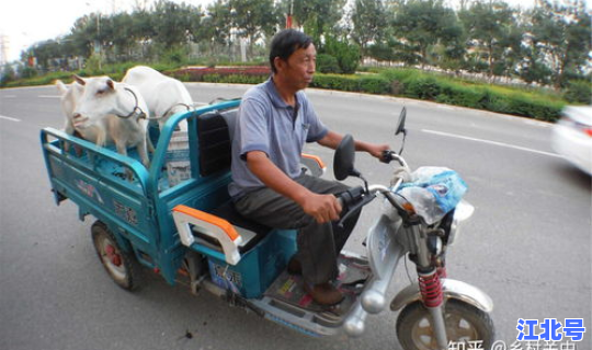 北京三轮自行车可以上路吗，三轮电动车为什么不让上路