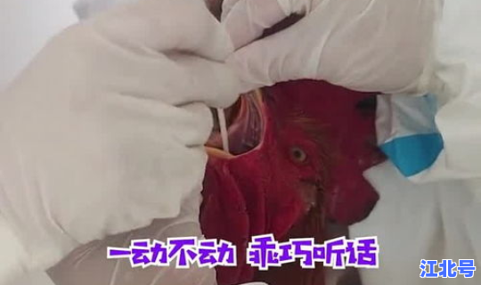 没做核酸能查出吗，不查核酸有啥影响