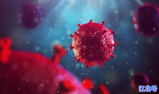 病毒变异 致死率 病毒越变异越厉害吗