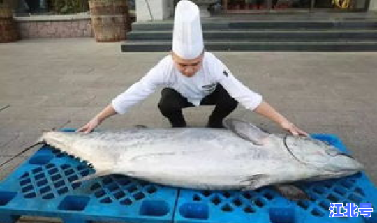 鲅鱼圈疫情咋样了 鲅鱼圈是因为鲅鱼多吗