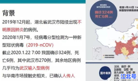 湖北两例新型肺炎是哪里的，武汉新冠肺炎是哪一年