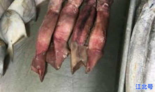 大连海鲜进货渠道(大连批发海鲜最便宜的市场是哪个)