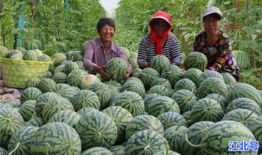 新疆8月份疫情情况(新疆八月份盛产什么水果)