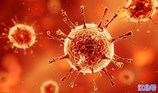 钟南山担心病毒变异？病毒为什么会变异