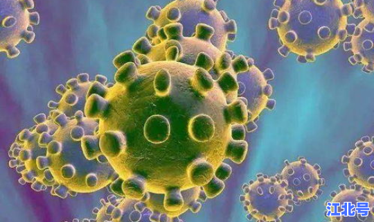 上海有多少新冠病毒患者 冠型病毒症状