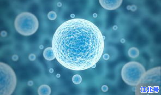 病毒变异后还是原来的病毒吗 ，变异病毒感染最明显的症状