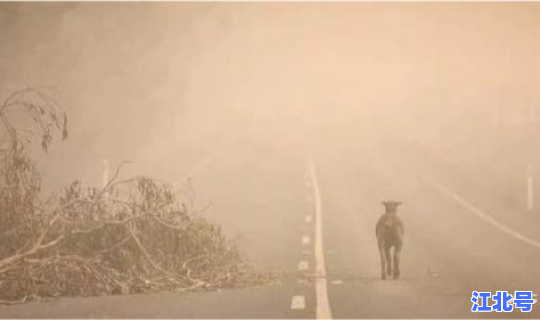 两年后疫情(未来几年还会有疫情吗)