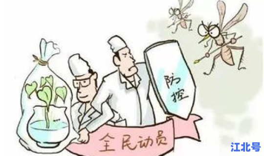 重症登革热的诊断标准(登革热会引起肺炎吗)