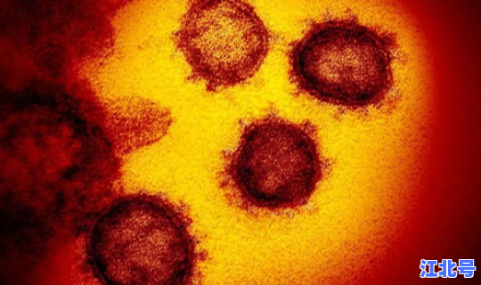 新冠最早发源地 新冠最初是从哪传出的