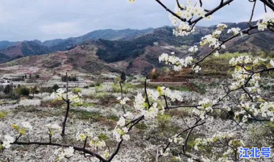 葛仙山官方网，葛仙山风景区官网