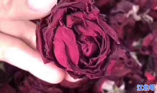 红玫瑰效果？红玫瑰的功效与作用