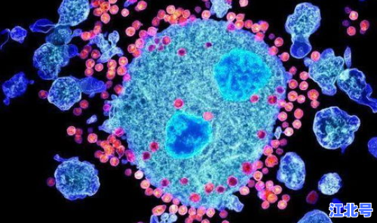 广东最新病毒新闻消息 广东艾滋病毒感染情况