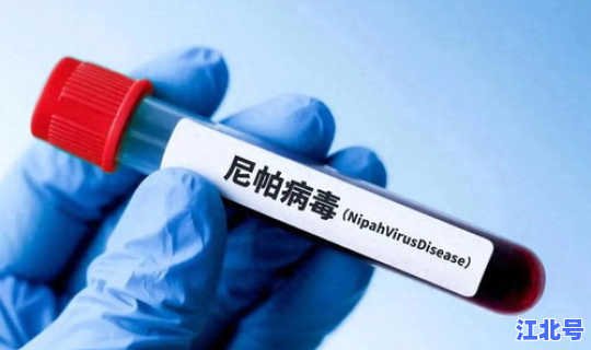 中国疫情最新消息  印度尼帕病毒最新消息