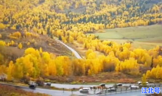 新疆最新疫情况最新消息 新疆新闻