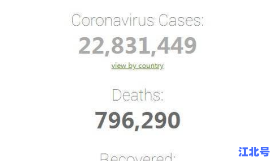 美国累计确诊新冠病毒多少例，新冠病毒确诊人数