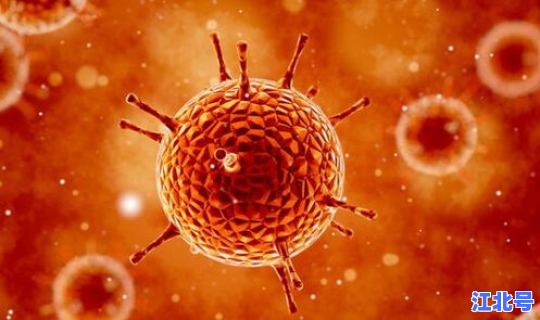 上海 新冠病毒，上海新冠病毒什么时候开始的