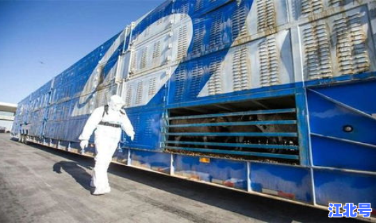 蒙古 新冠疫情(蒙古国疫情最新消息)